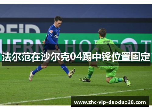 法尔范在沙尔克04踢中锋位置固定
